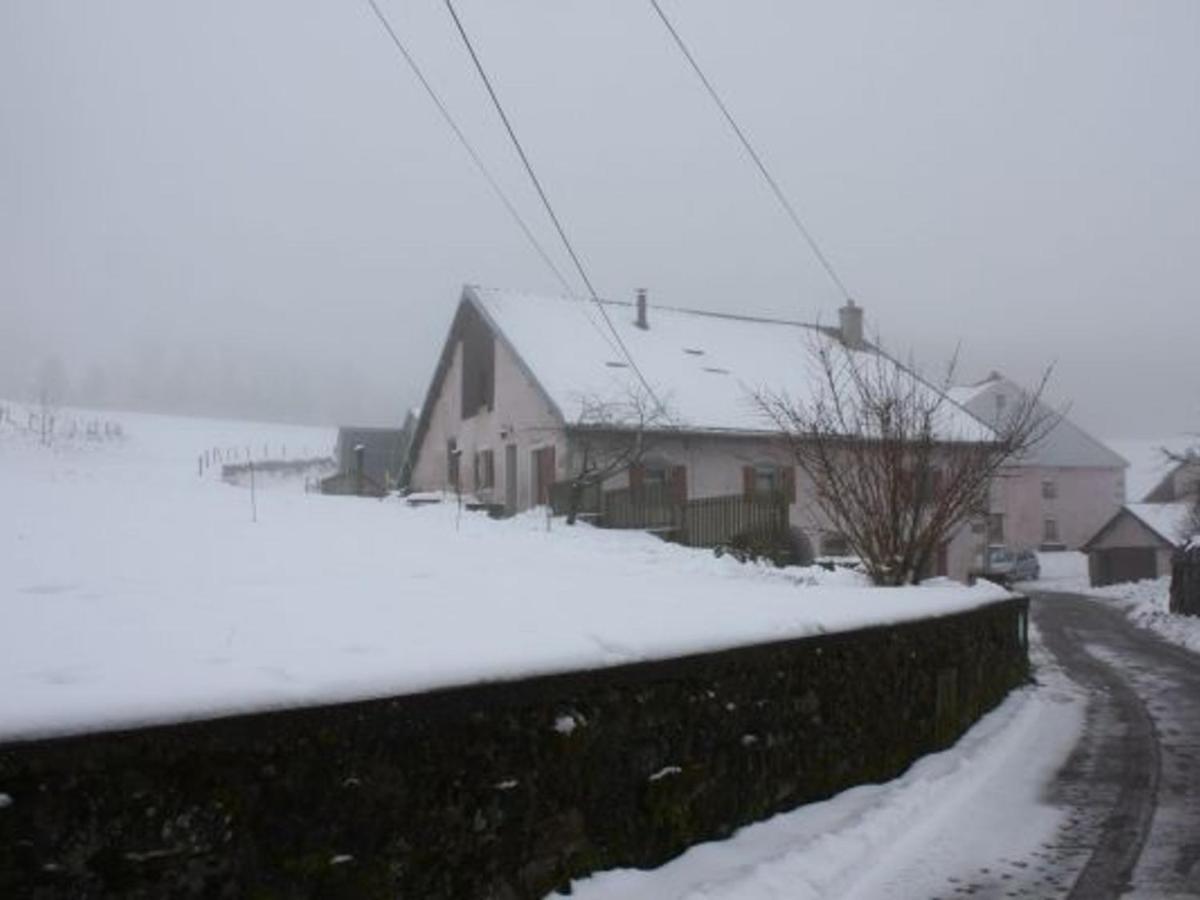 Gite Paisible A 650M D'Alt., Nature, Cheminee, 3 Ch. Pres De Remiremont & Plombieres, Terrasse, Grand Terrain - Fr-1-589-50 Girmont-Val-dʼAjol Eksteriør billede